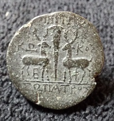 Identification-Help-Please.