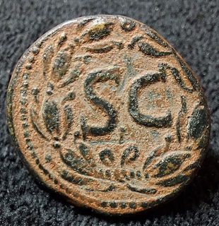 Identification-Help-Please.