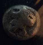 Tiny-Bronze-Coin,-ID-Help-Please,-Possibly-Ionia,-Miletus?