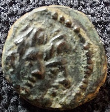 Identification-Help-Please.