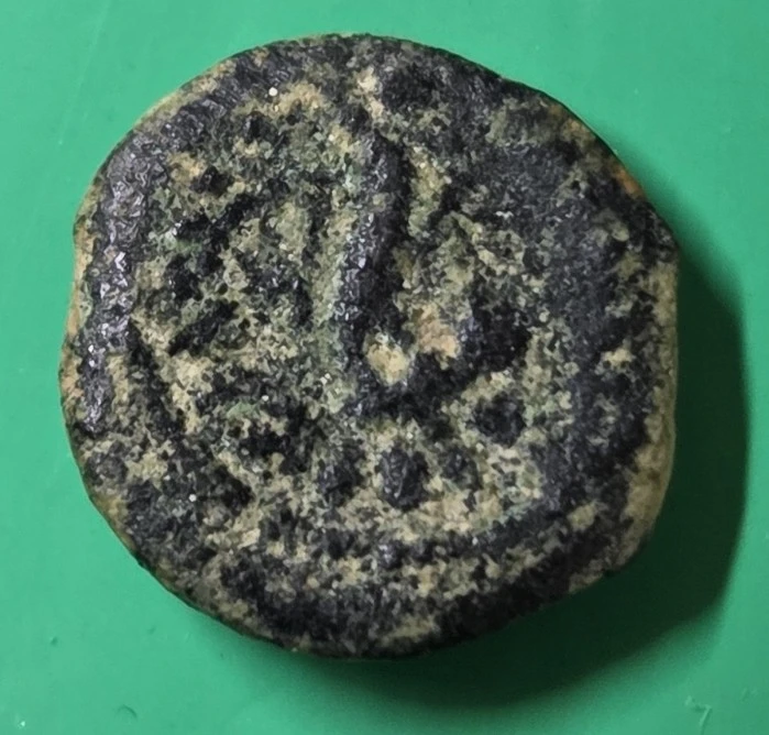 A-Little-Help-With-Identification-Please.