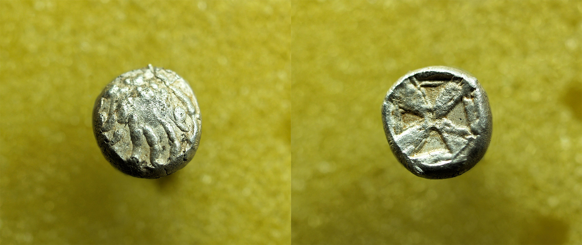 Identifying-Ancient-Greek-Coins-#20