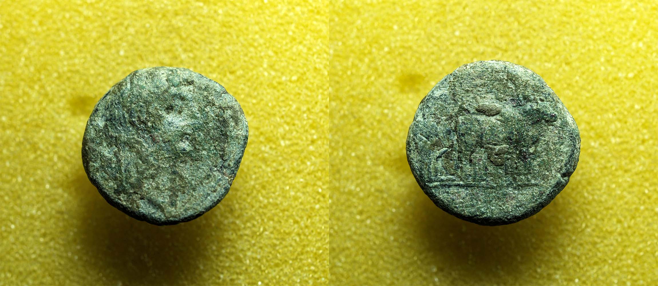 Identifying-Ancient-Greek-Coins-#25