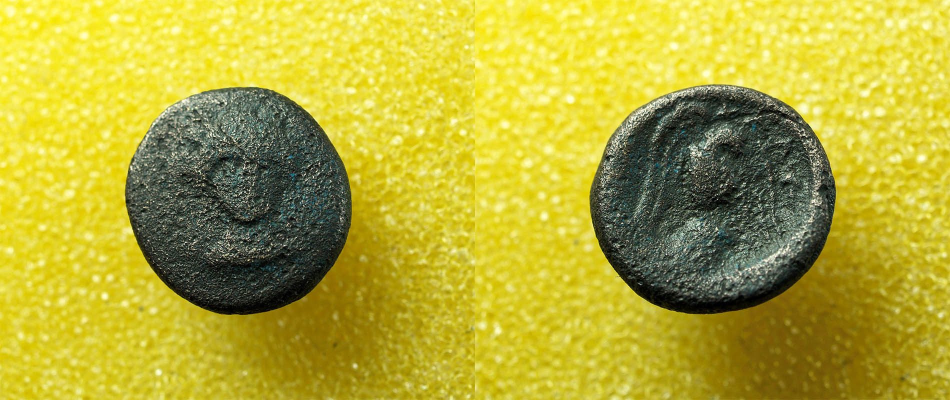 Identifying-Ancient-Greek-Coins-#29
