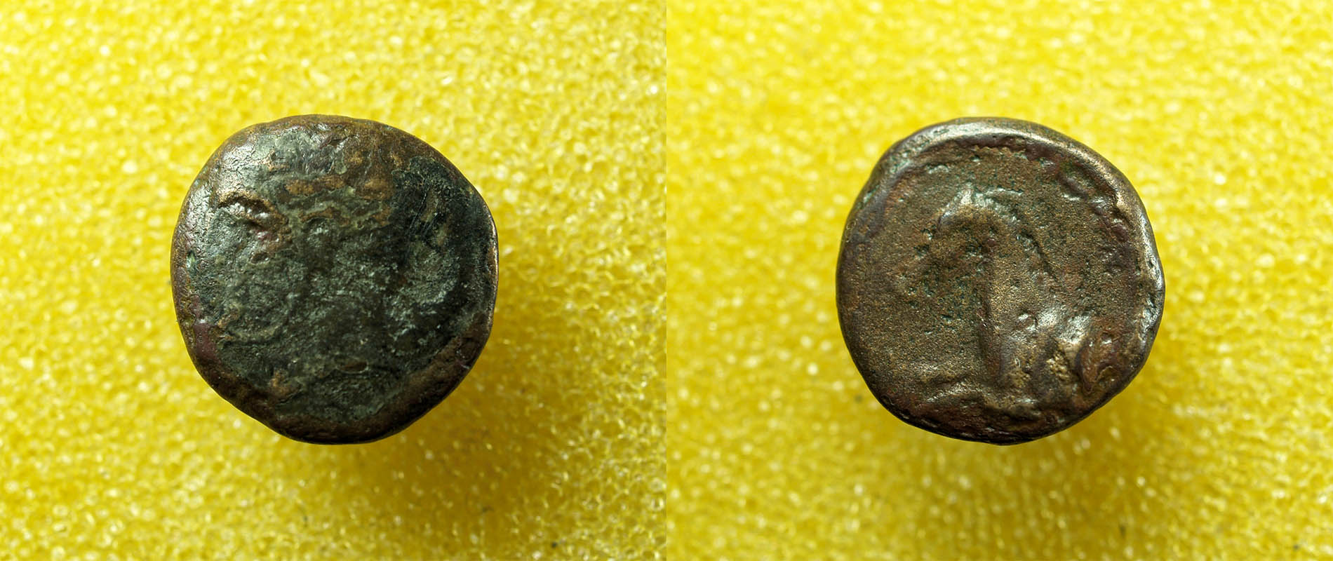 Identifying-Ancient-Greek-Coins-#30