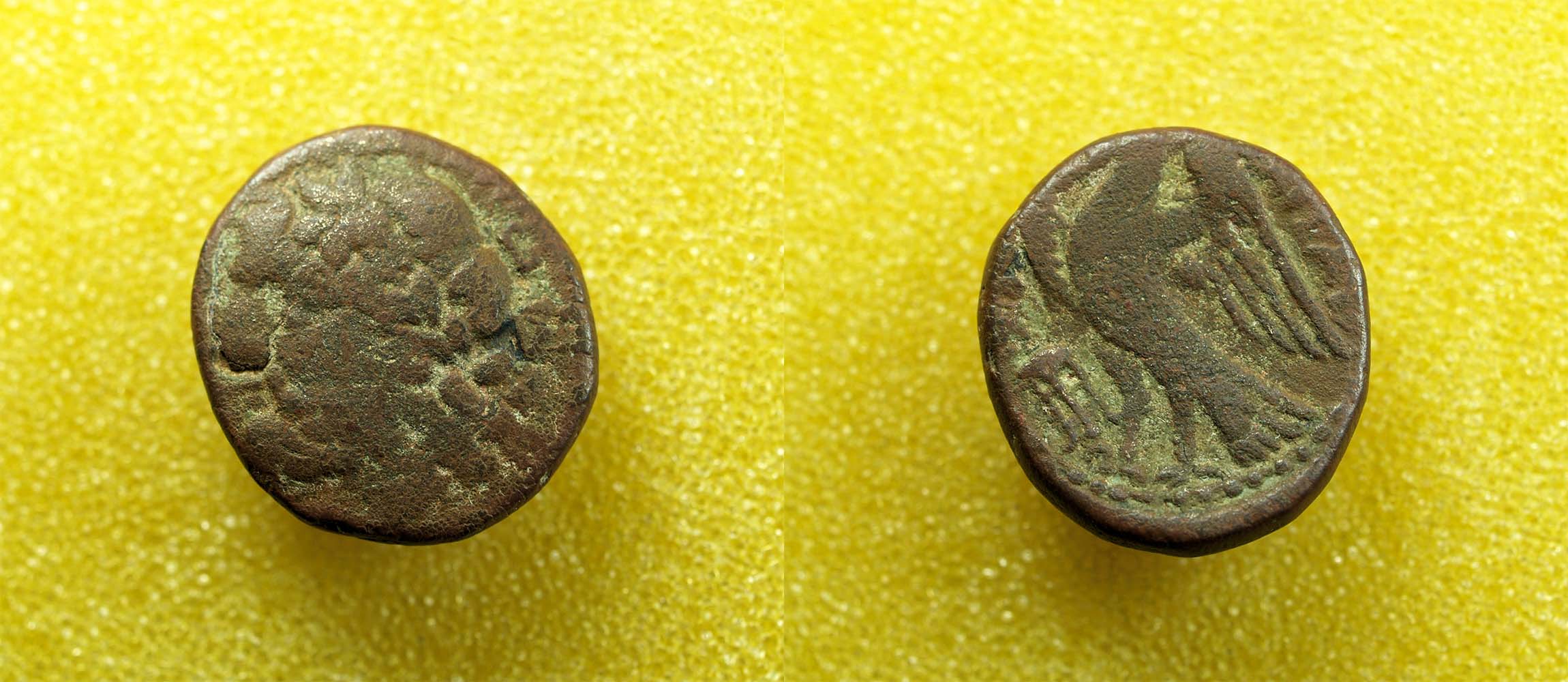 Identifying-Ancient-Greek-Coins-#37