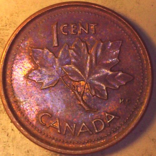 First-2024-Hunt:-10-Penny-Rolls-And-4-Quarter-Rolls