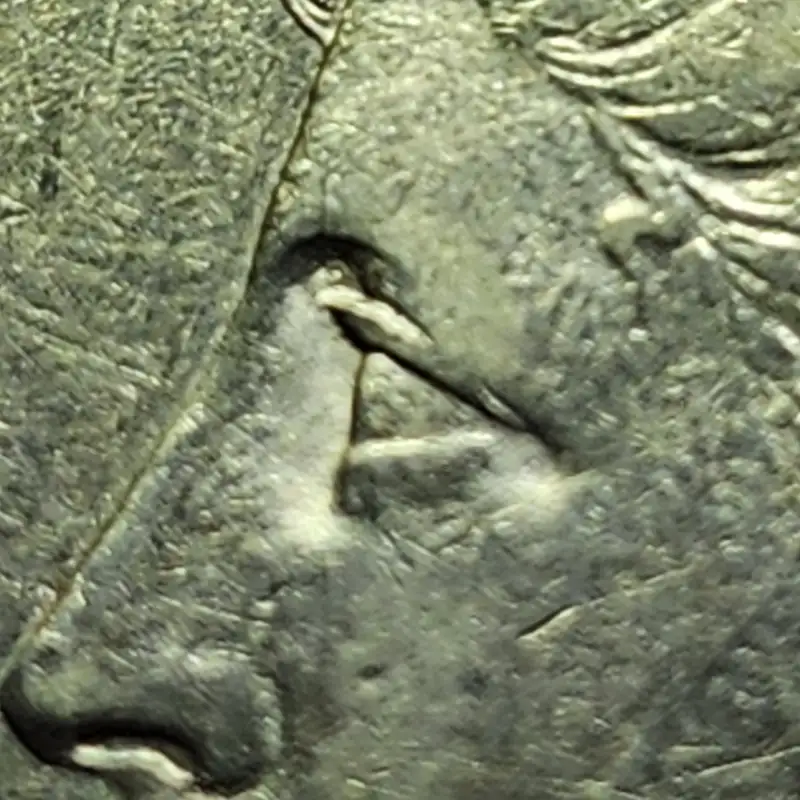 1878-CC-Morgan-For-Grading-And-VAM-27-?
