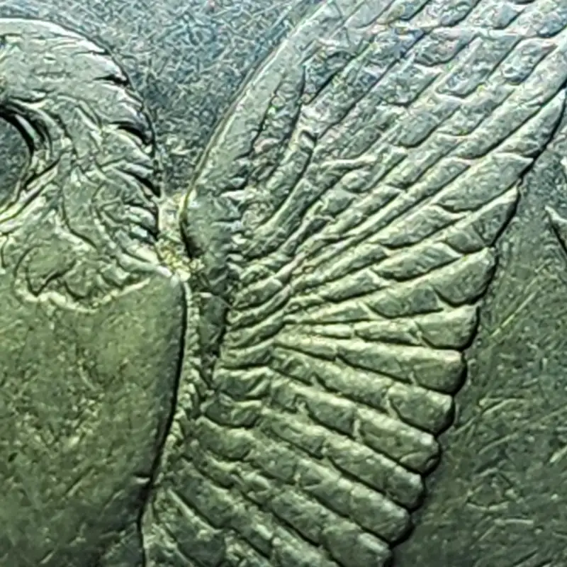 1878-CC-Morgan-For-Grading-And-VAM-27-?