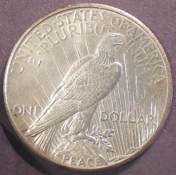 10-Days-Of-Peace-Dollars!