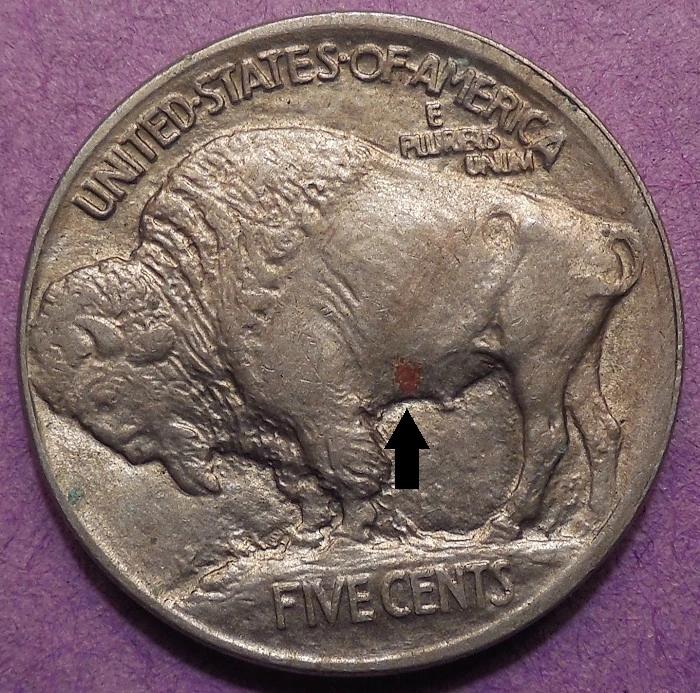 Cleaning-A-Buffalo-Nickel