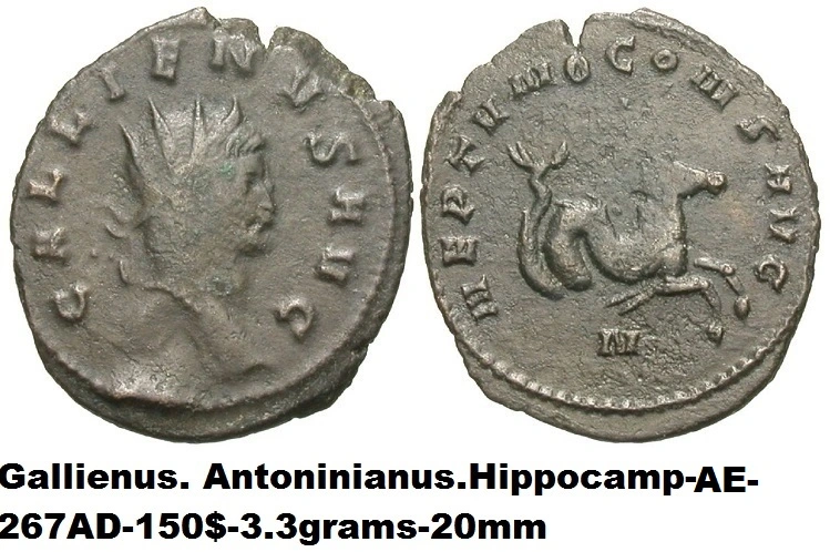 Only-Read-This-If-You-Are-A-Hippocampus-Fan