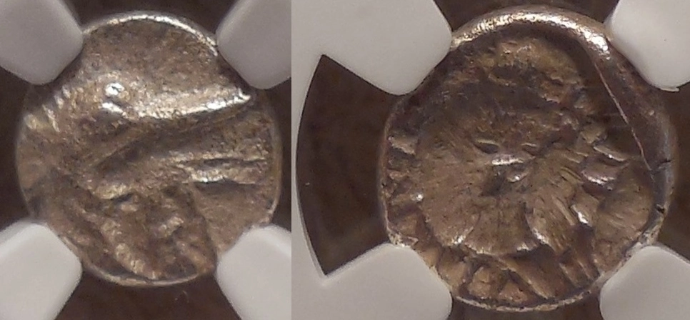 What-Is-Your-Oldest-Coin?