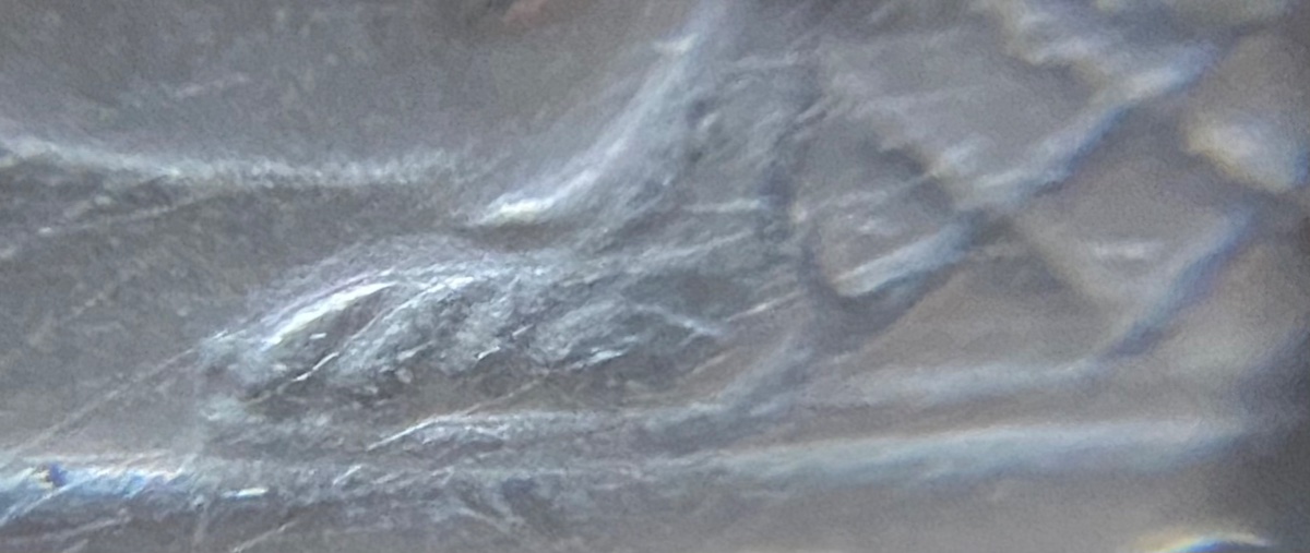 1990-American-Eagle-DDO-Missing-Toe?