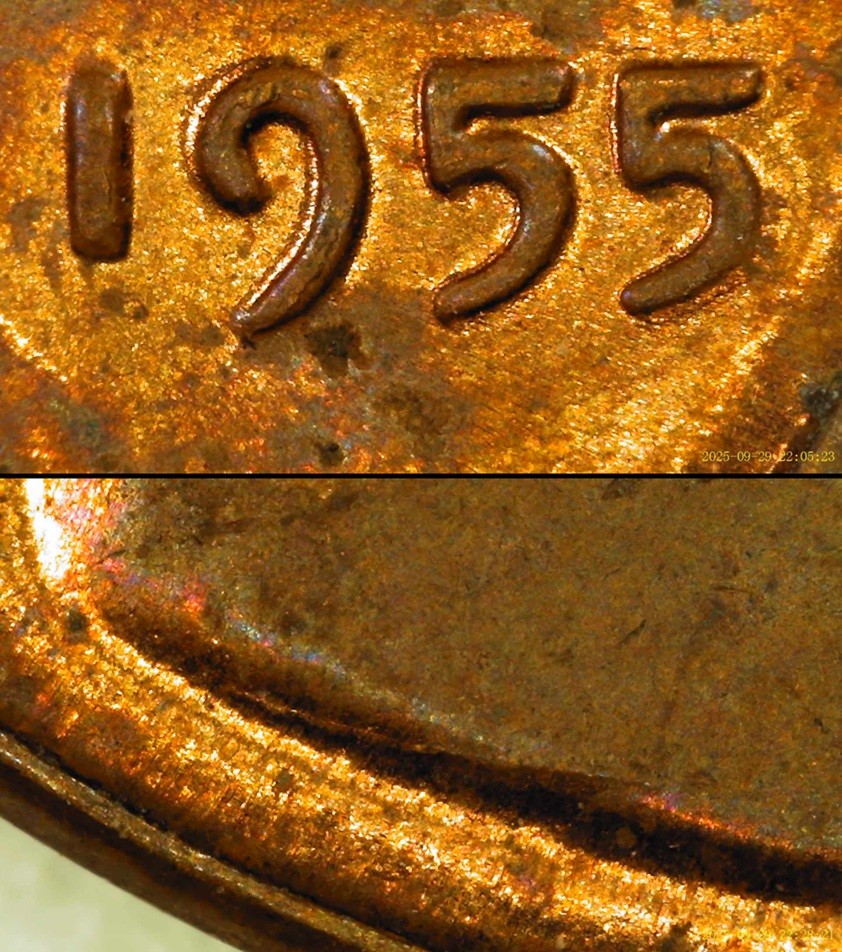 1955-LWC-DDD-/-Fridb-/-Die-Chips