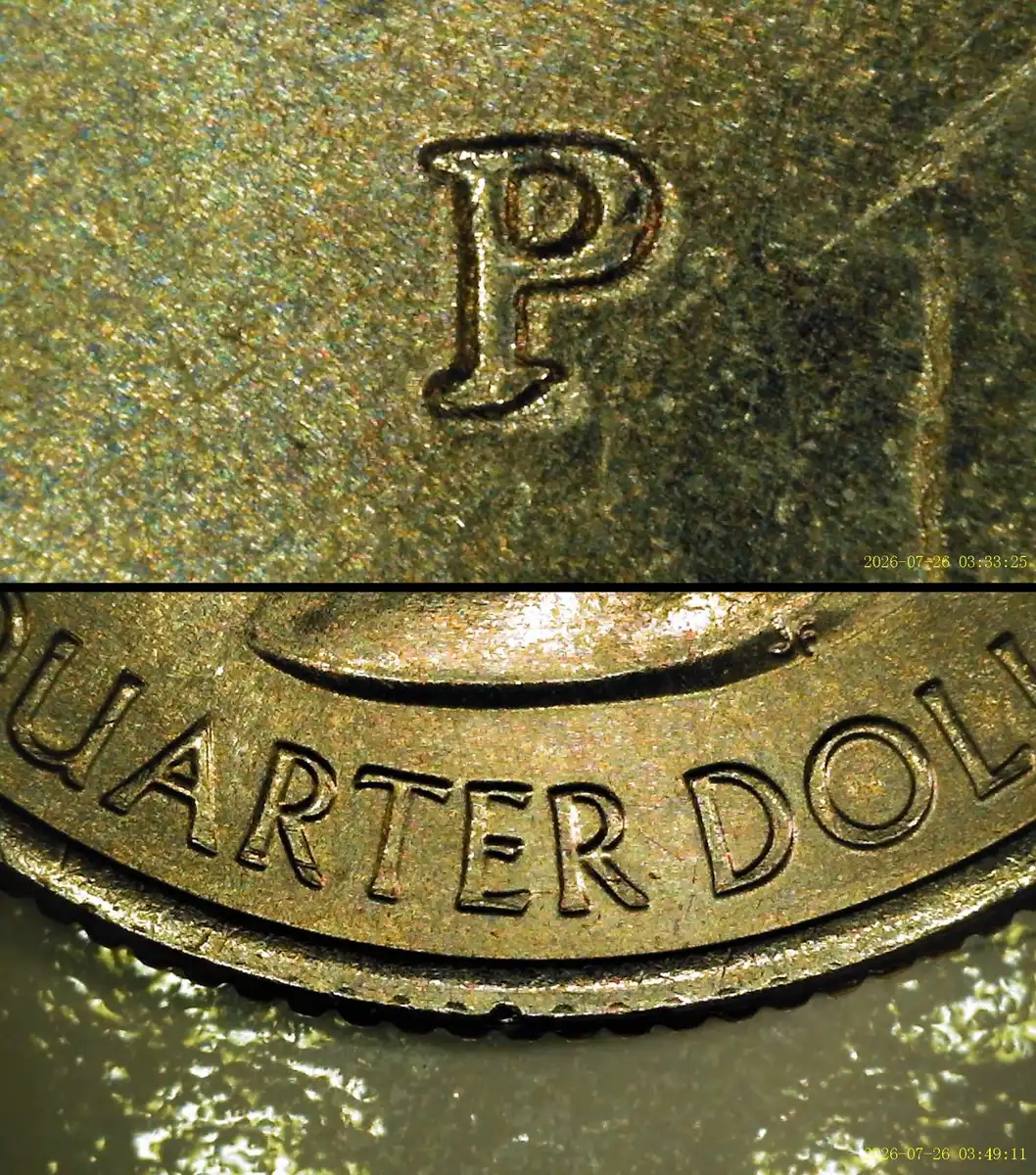 2020-P-Mbr-Quarter-Wild-Compound-Error