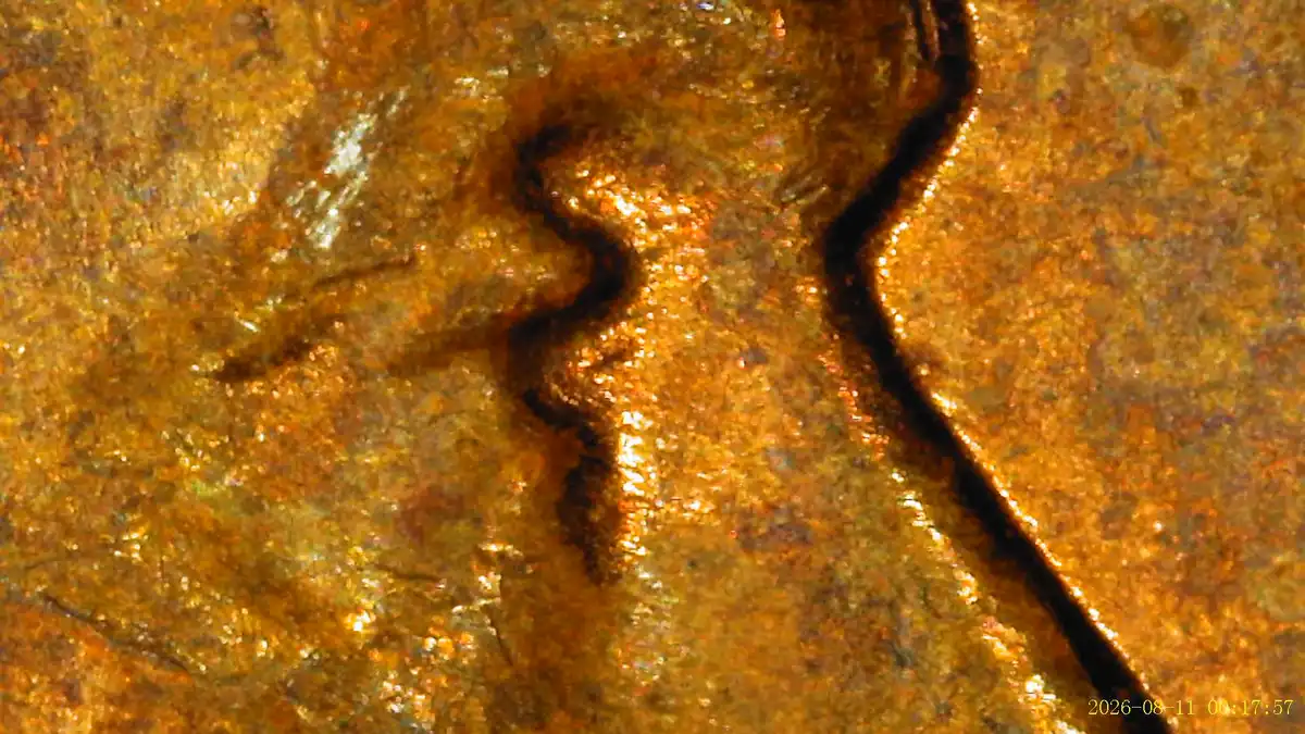 1956-D-1-DO-022-/-1MM-052-LWC-With-Small-Lam