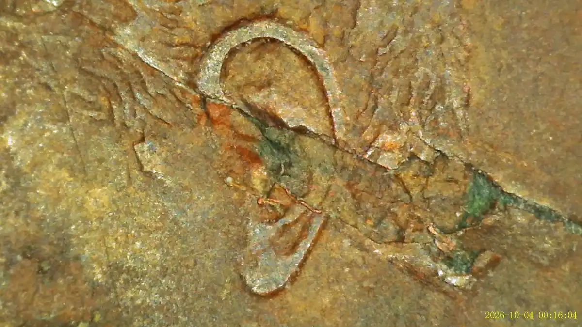 1895-R-Italy---1-Centesimo-W/Impact-Induced-Bi-Level-Radial-Die-Crack