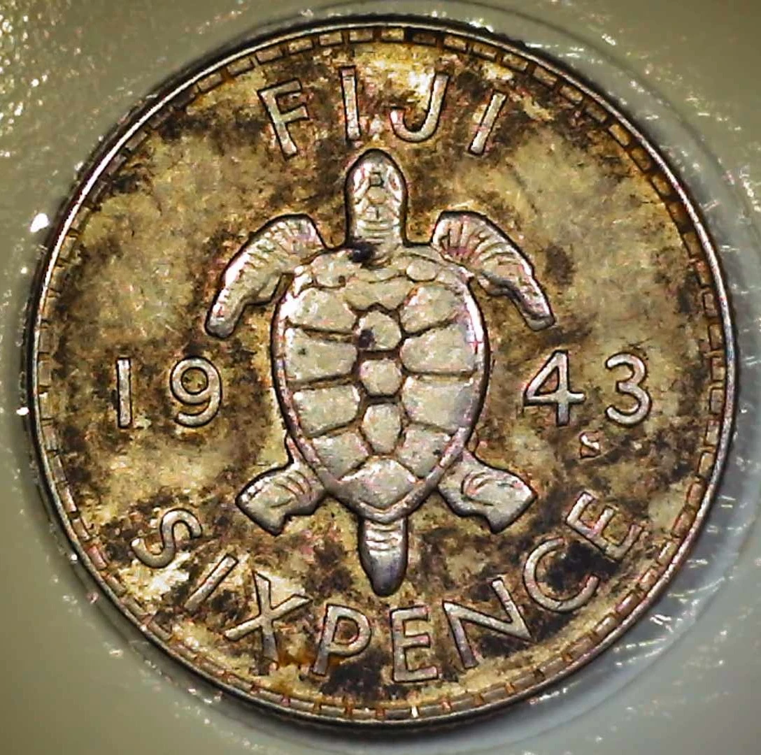 Post-Your-Coins-Representing-The-Animal-Kingdom.