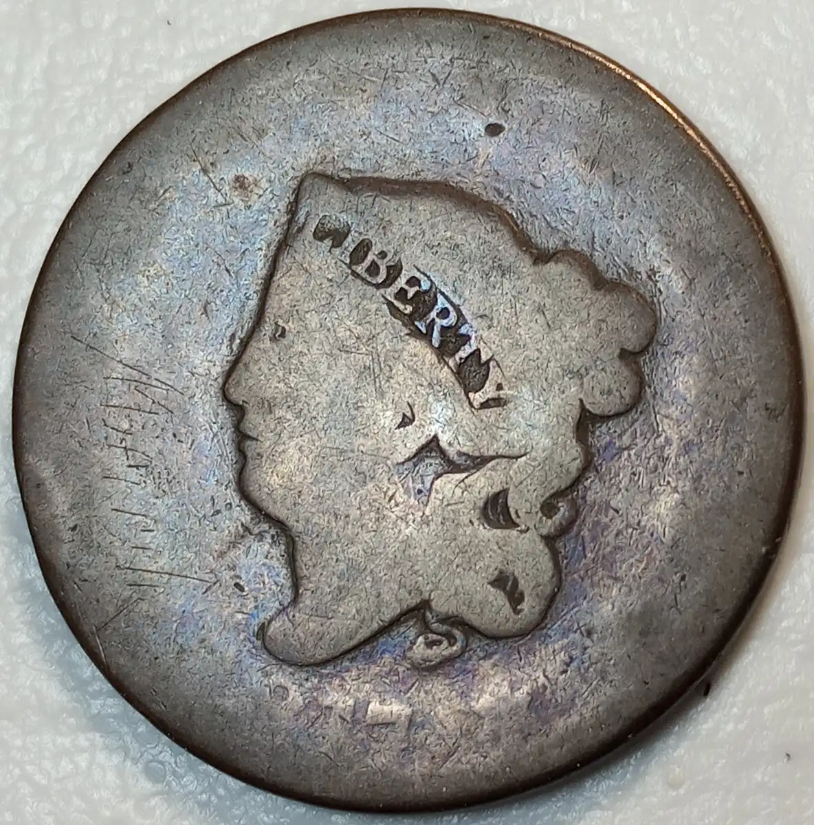All-Members,-Post-Your-Most-Recent-US-Coin-Purchases!