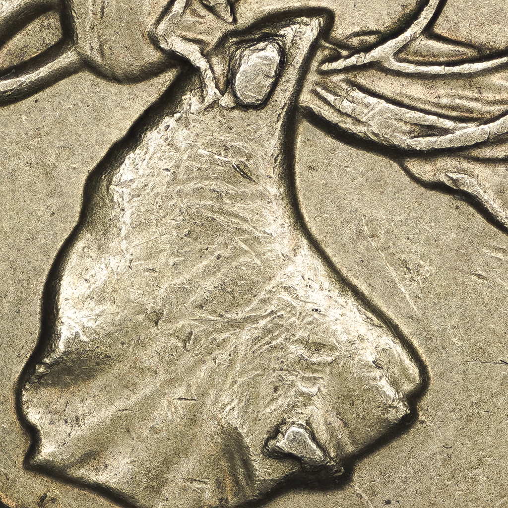Newbie-Question:-What-Are-You-Looking-For-When-You-Photograph-A-Coin?