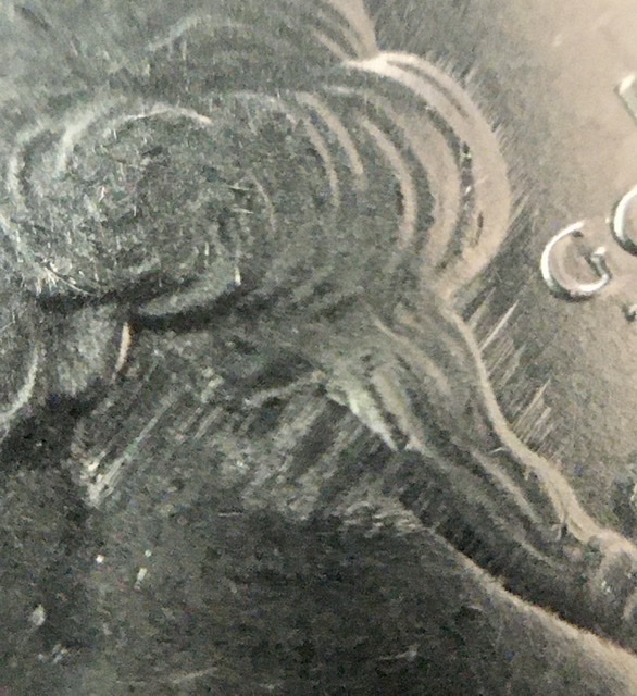 Pre-Strike-Planchet-Damage?-2021-Tuskegee-Airmen-Quarter