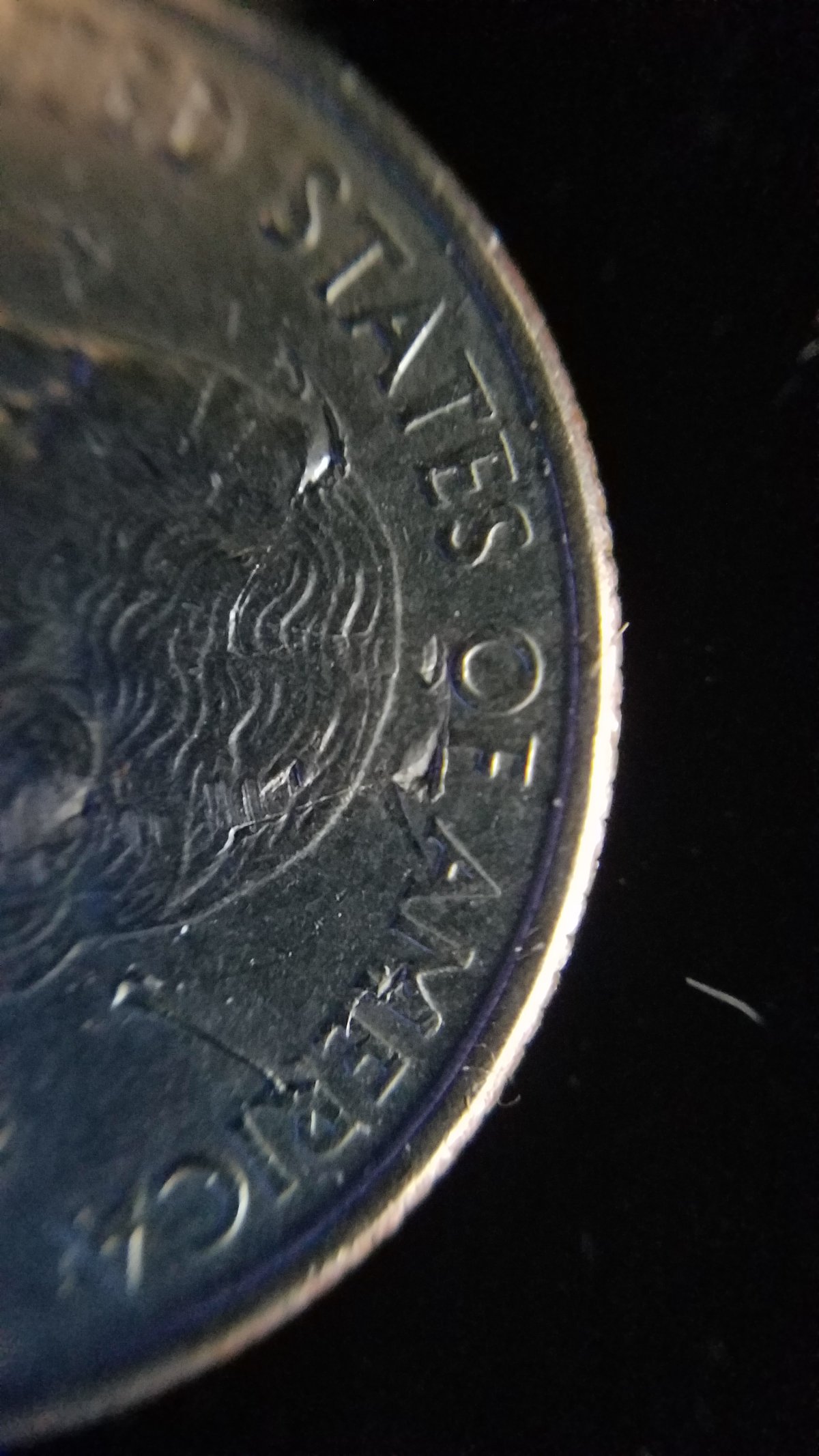 2004-Michigan-Quarter,-What-Is-Going-On-Here?