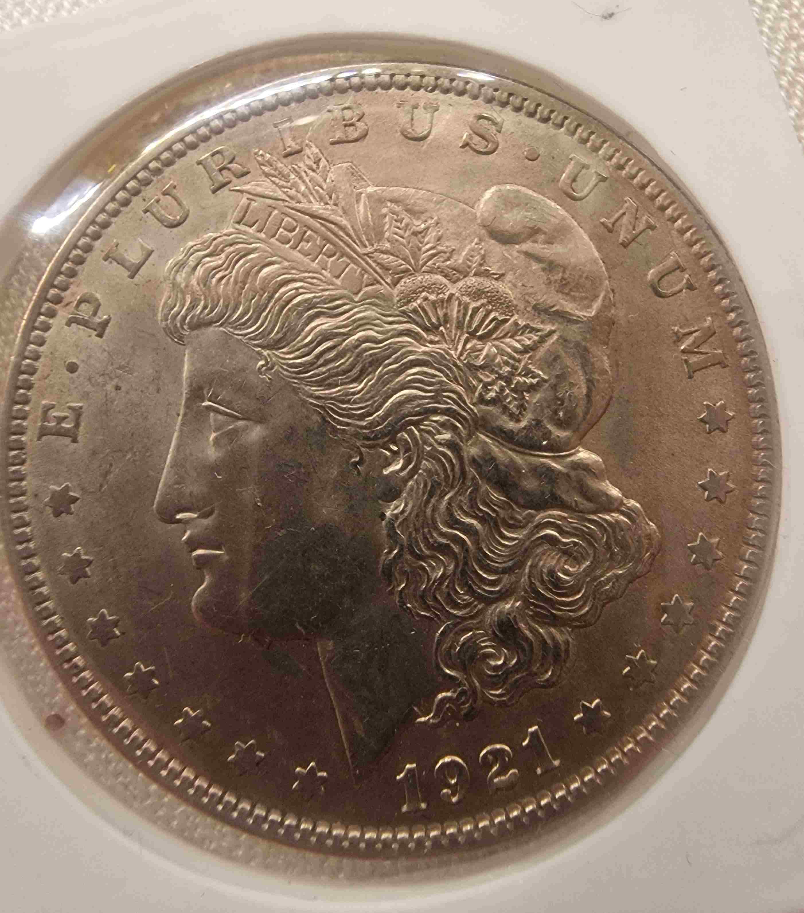 So-I-Accidentaly-Bought-Some-Morgans.