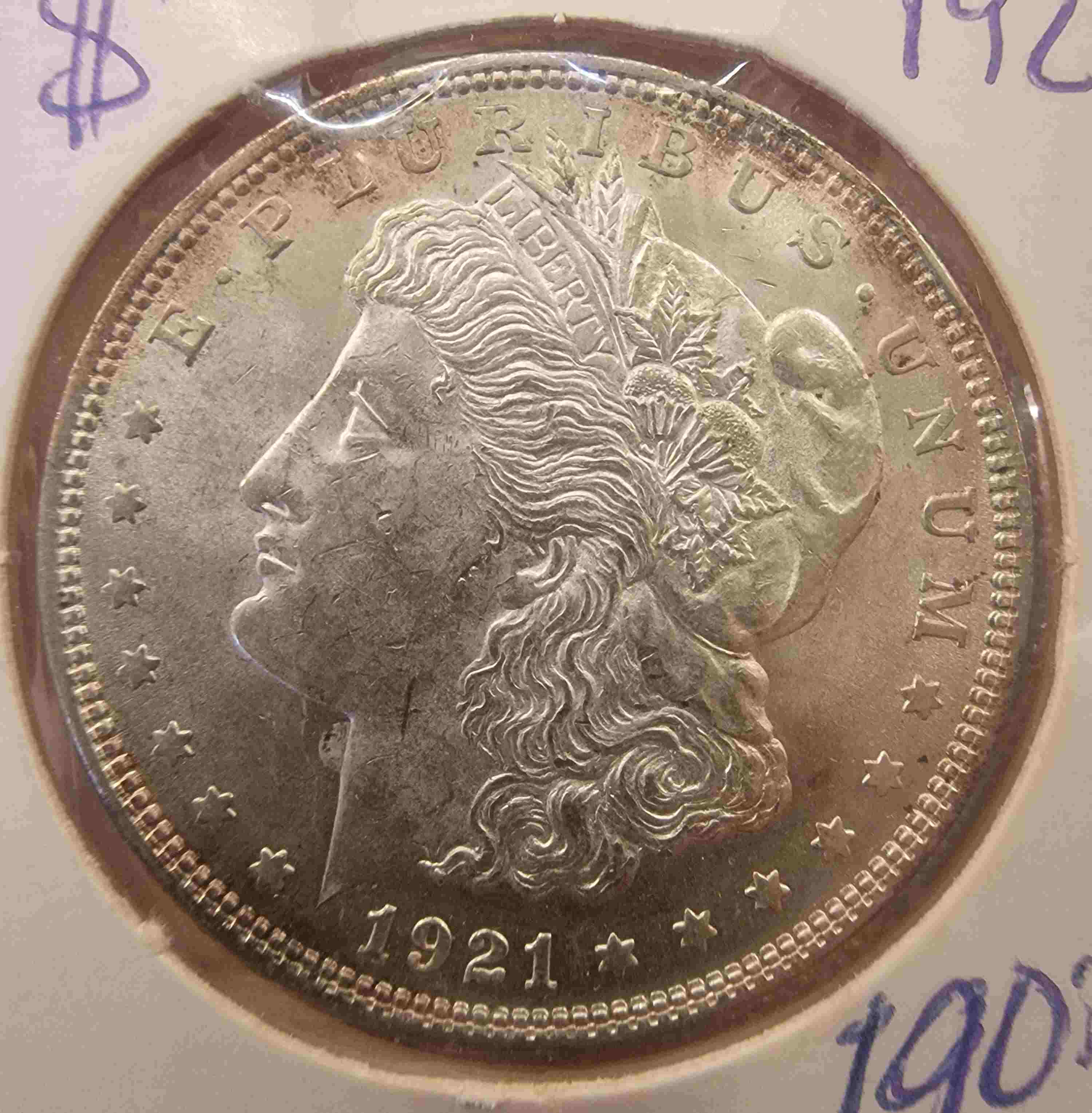 So-I-Accidentaly-Bought-Some-Morgans.