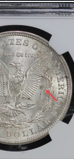 1921-P-Morgan-Dollar-Will-It-Make-MS?-Also-VAMs-Wide-Reeding