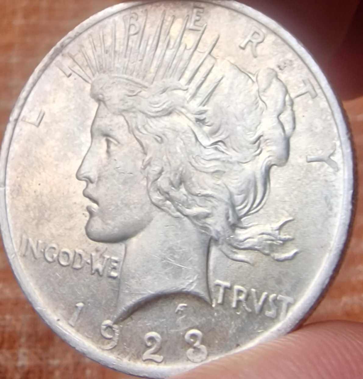 So-I-Accidentaly-Bought-Some-Morgans.