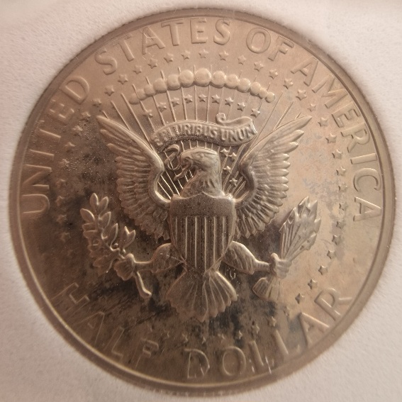 1979-S-Kennedy-Half-Dollar-You-Vs-Mint-State-Grading-For-Fun