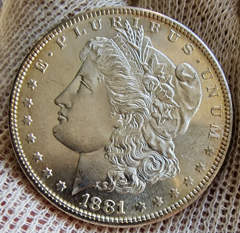 1881-S-Morgan-Dollar-For-Your-Grading