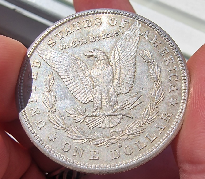 1881-S-Morgan-For-Your-Grading
