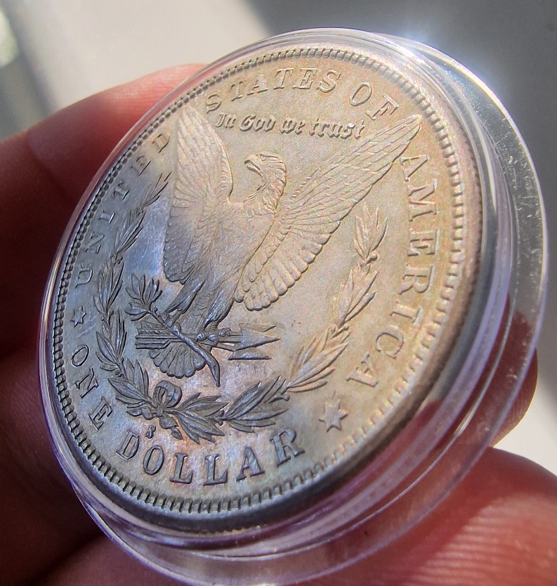 1881-S-Morgan-For-Your-Grading
