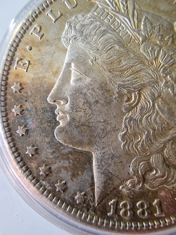 1881-S-Morgan-For-Your-Grading