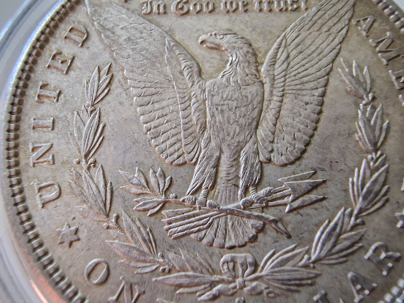 1881-S-Morgan-For-Your-Grading