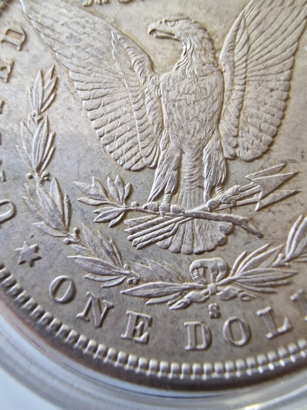 1881-S-Morgan-For-Your-Grading