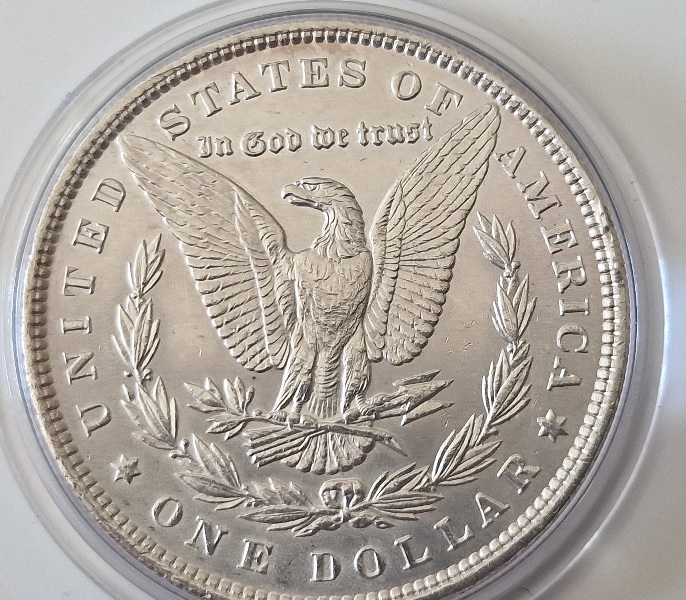 1886-P-Morgan-Cull-Dollar-For-Your-Grading