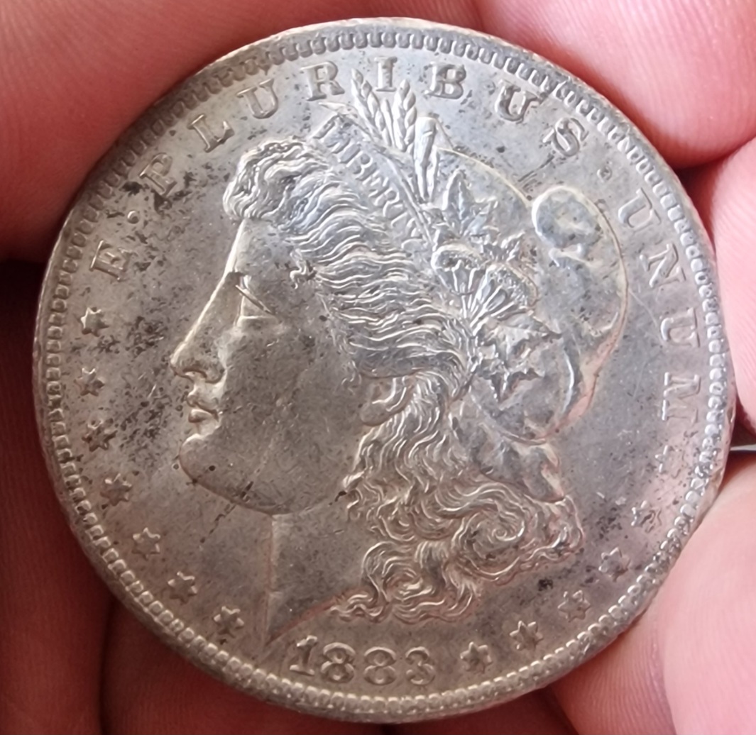 1883-O-Morgan-Dollar-For-Grading