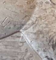 1883-CC-Think-These-Prints-Are-Possible-To-Remove-By-Dipping?-Updated-Pic!