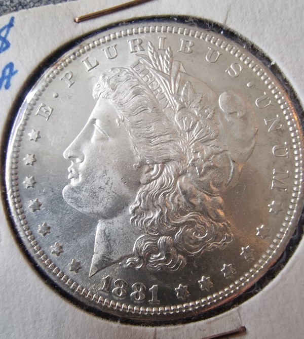 1881-S-Morgan-Dollar-Honing-Grading-Skills