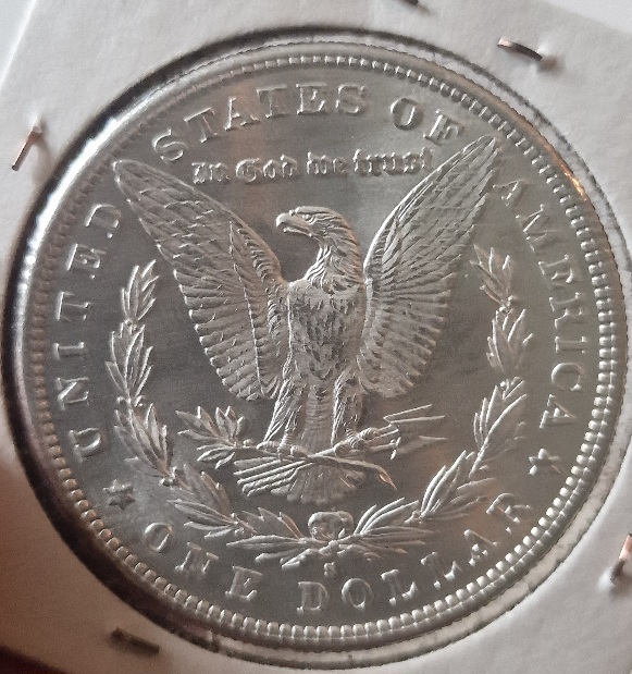 1881-S-Morgan-Dollar-Honing-Grading-Skills