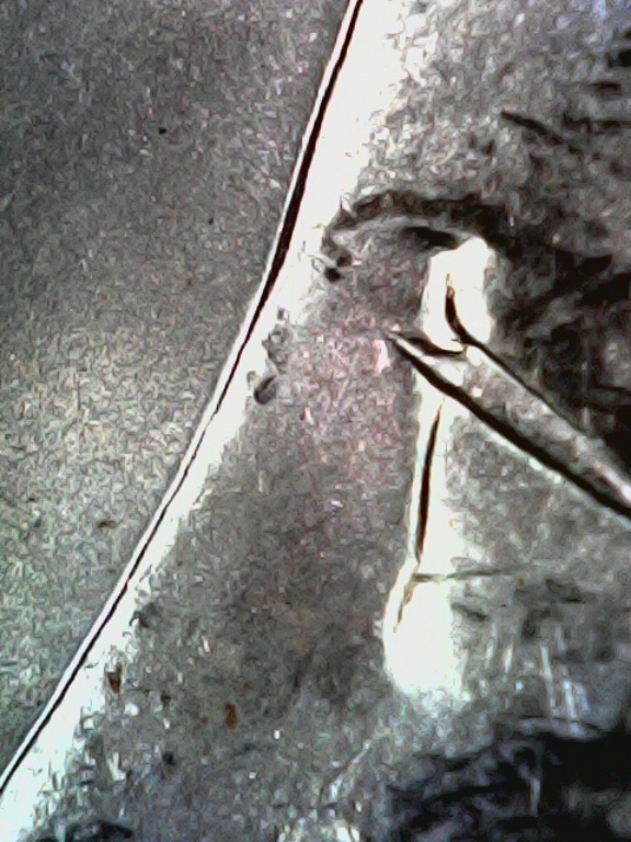 Morgan-Dollars-1883-O-So-Many-Errors-Is-This-Die-Detoriation-Or-Clashing