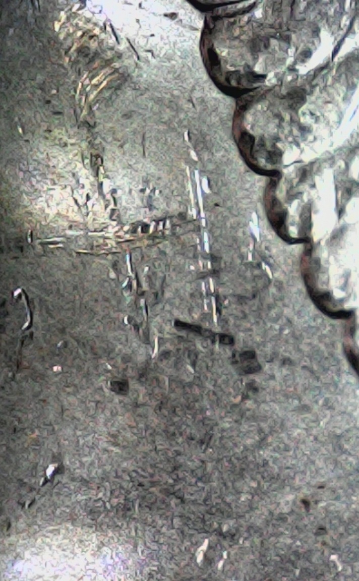 Morgan-Dollars-1883-O-So-Many-Errors-Is-This-Die-Detoriation-Or-Clashing