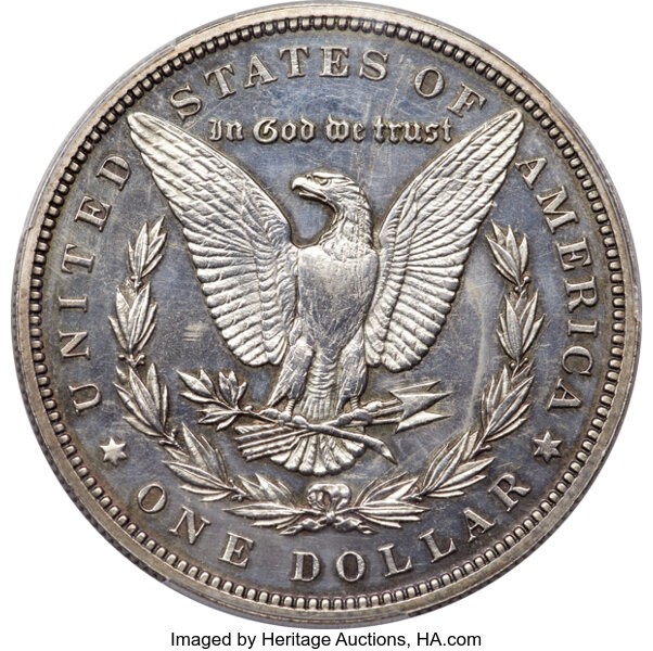 Coin-Dipping-Question-Morgan-Would-This-Reverse-Respond-Well-To-Dipping-1881-S