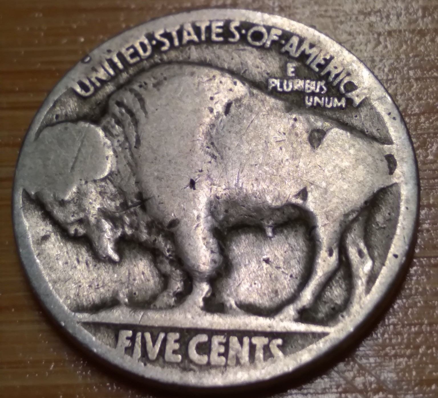 Is-This-A-5-Cent-Buffalo-2-Feathers?-Education-Needed