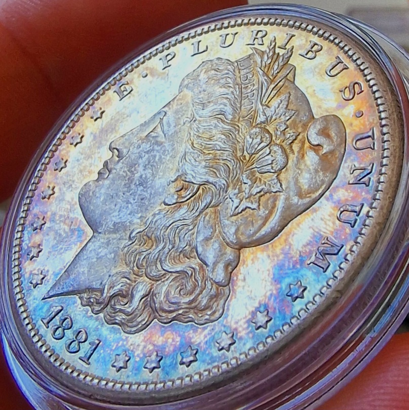 1881-S-Morgan-For-Your-Grading