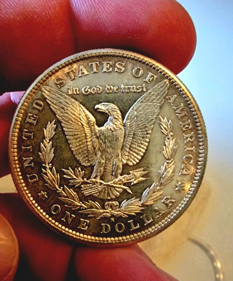 1881-S-Morgan-For-Your-Grading