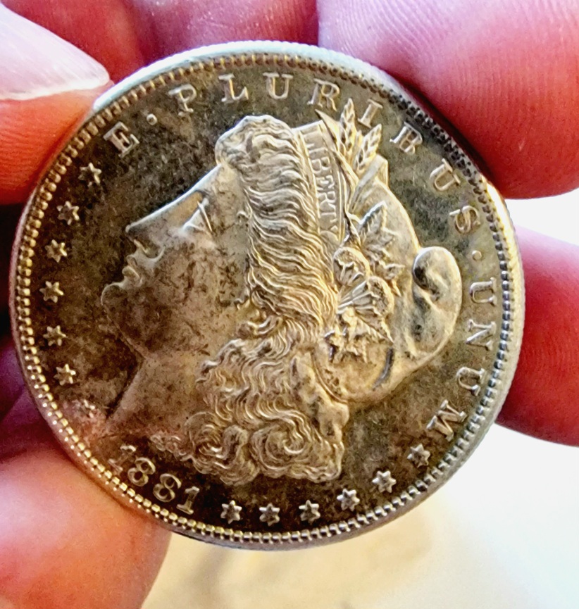 1881-S-Morgan-For-Your-Grading
